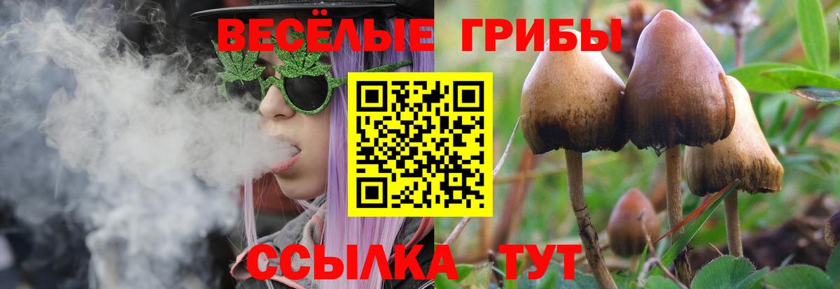 Краснодар  Галлюциногенные грибы мицелий  Псилоцибиновые грибы мухоморы  Вход с VPN 