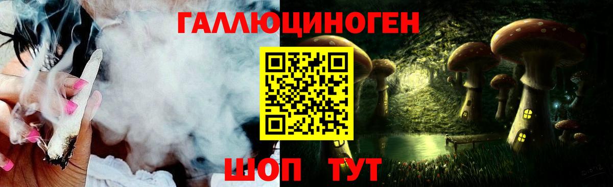 Псилоцибиновые грибы Psilocybine cubensis Краснодар